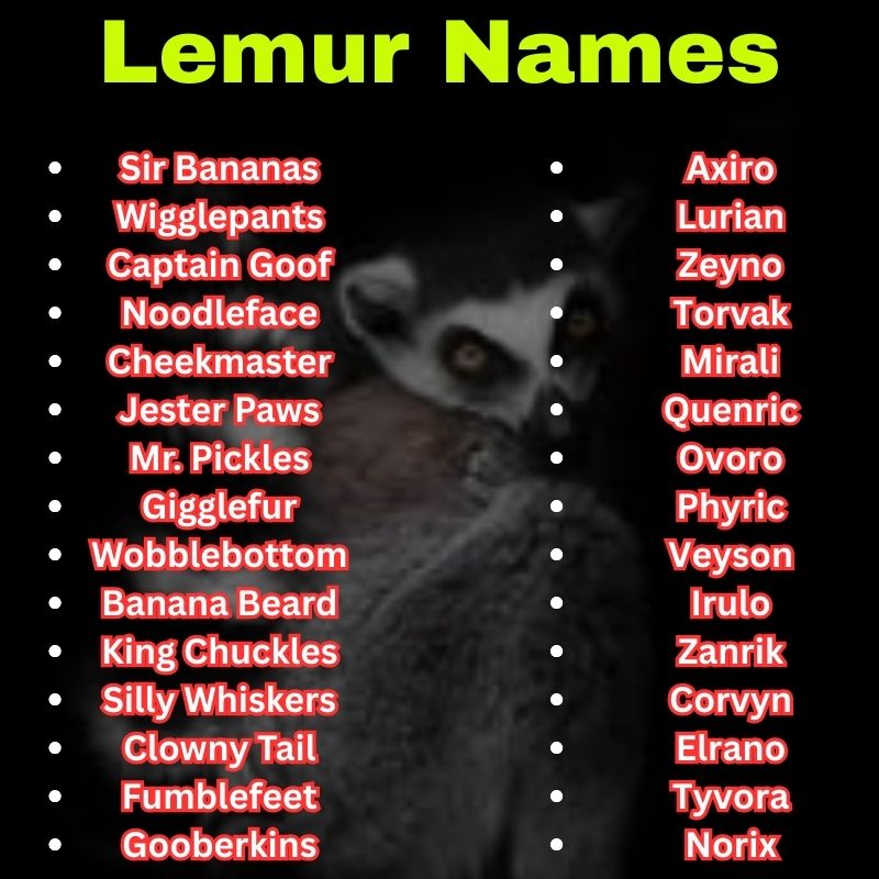Funny and Unique Lemur Names