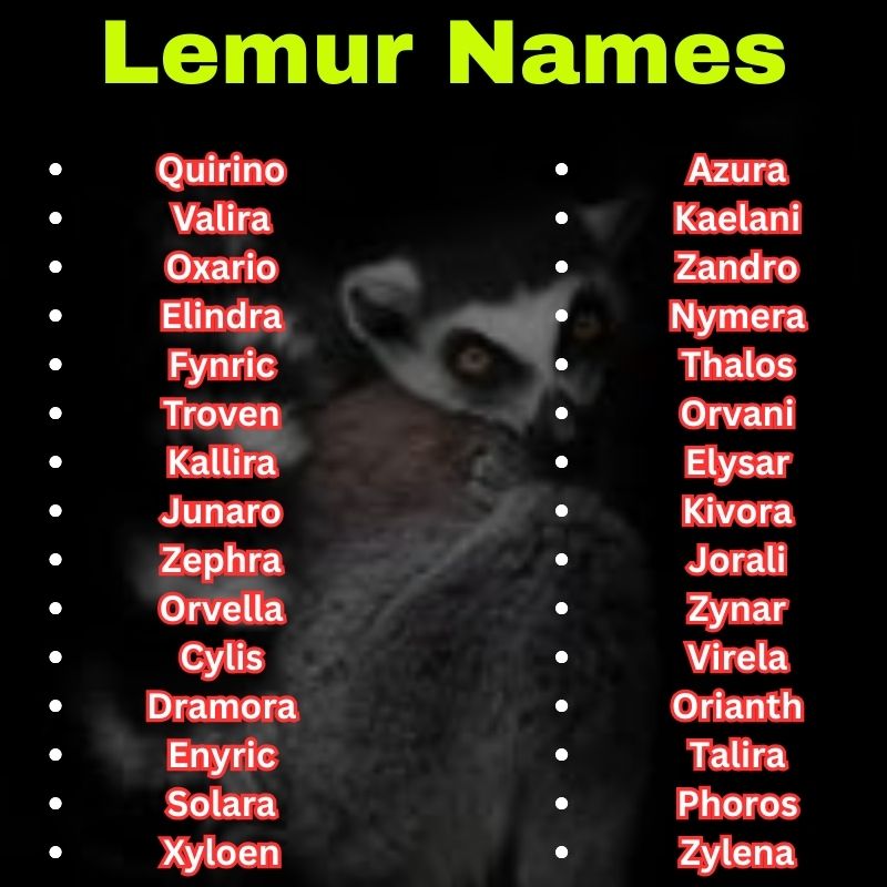 Exotic and creative Lemur Names