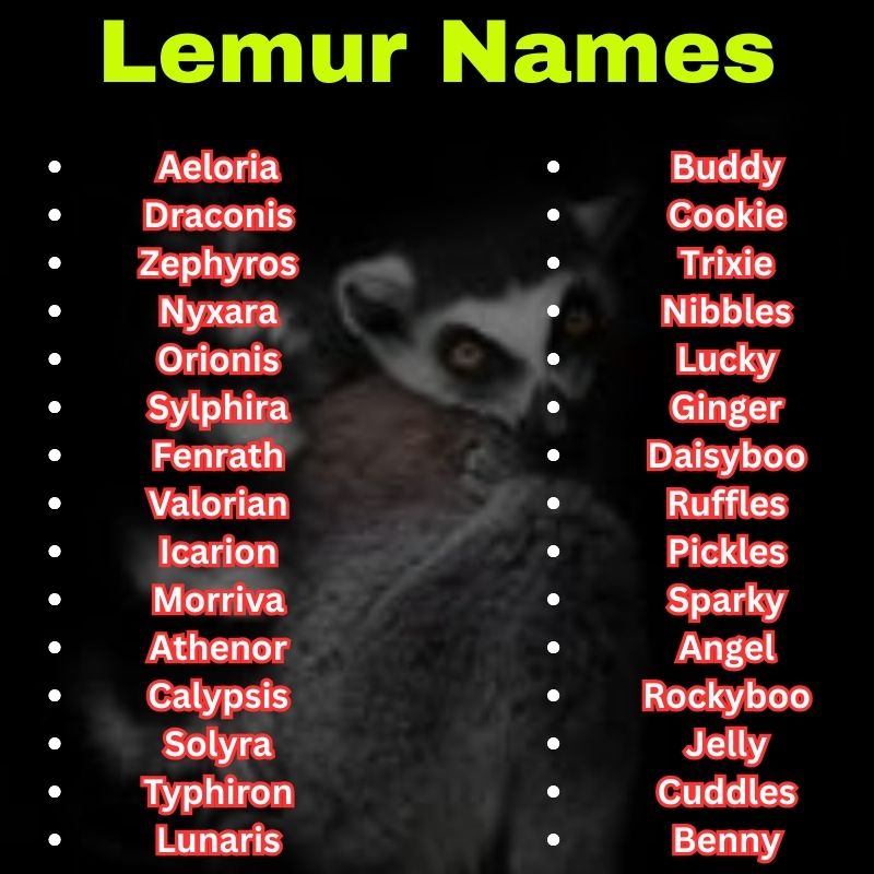 Mythical and pet Lemur Names