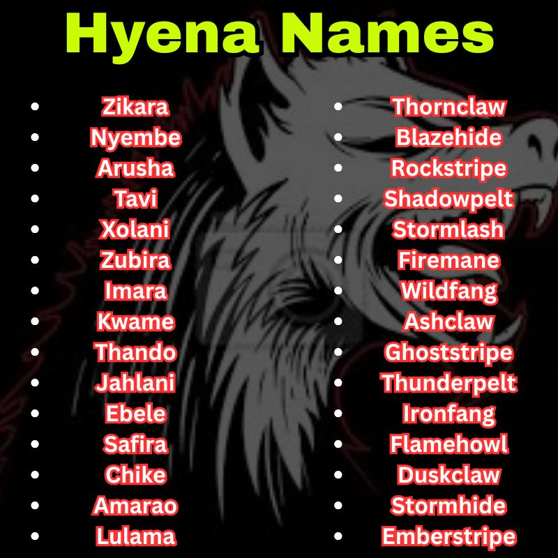Wild and Exotic Hyena Names