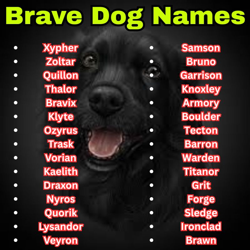 Strong and unique Brave Dog Names