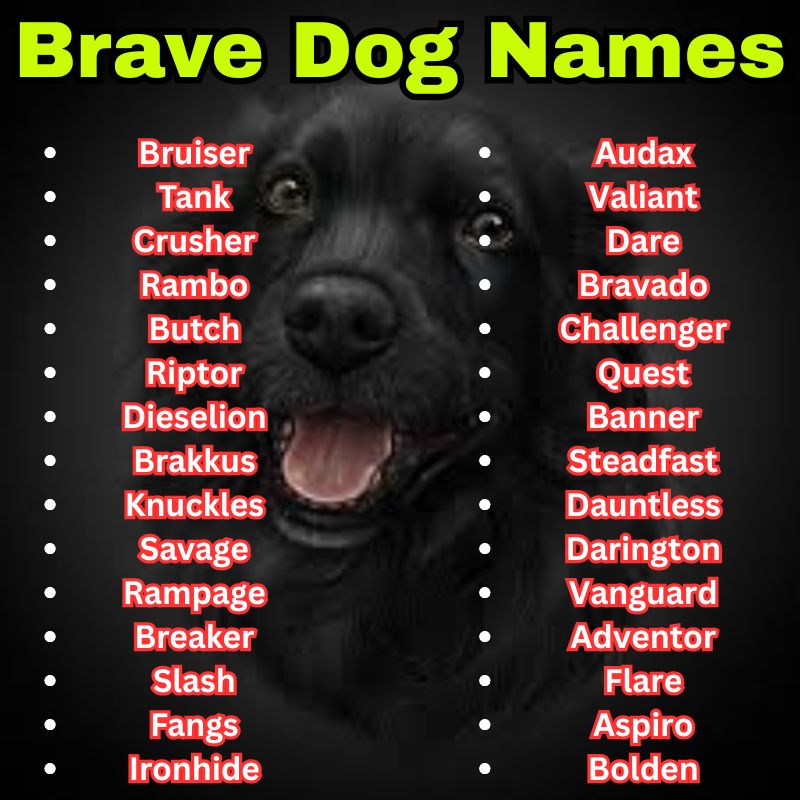 Bold and tough Brave Dog Names
