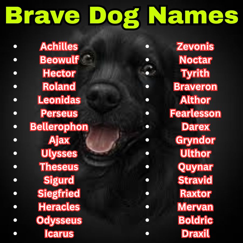 Heroic and fearless Dog Names