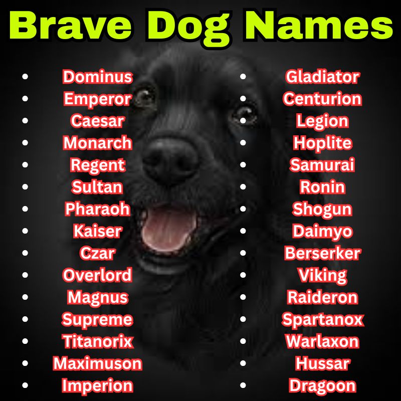 Warrior and powerful Dog Names